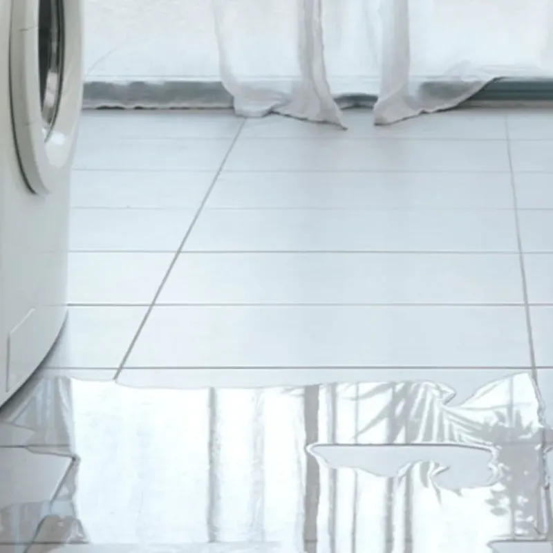 Appliance Leak Cleanup in Hahnville, LA
