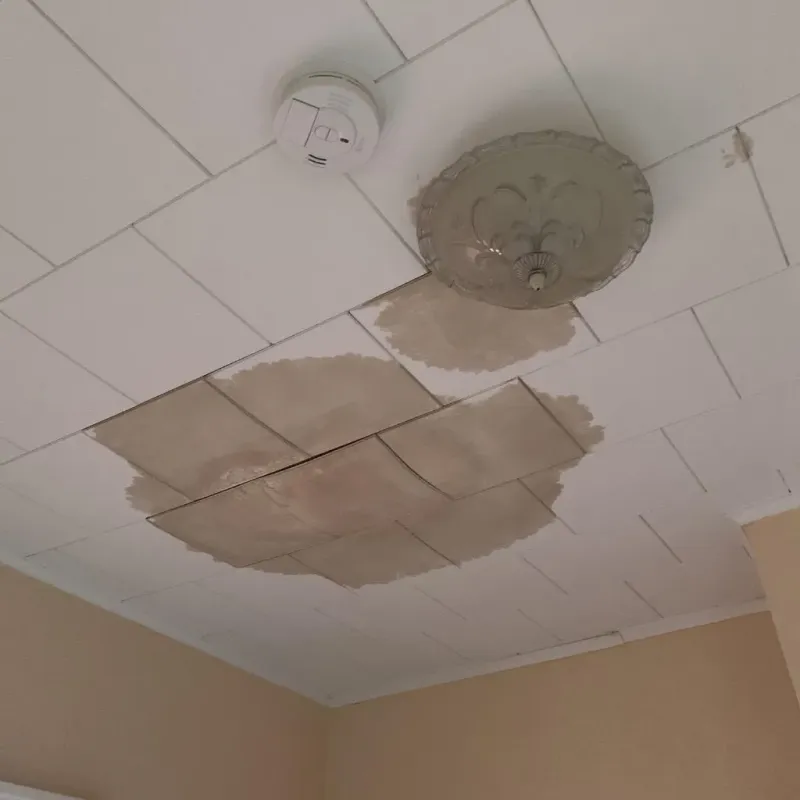 Ceiling Water Damage Repair in Hahnville, LA